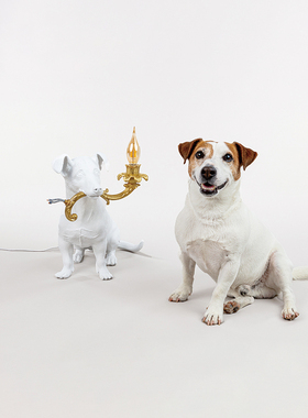 Seletti创意动物灯桌面点缀桌灯小狗卧室礼物网红装饰