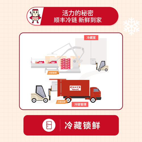 养乐多活菌型乳酸菌乳饮品活性乳酸菌低温乳制品饮料100ml*25瓶 - 图3