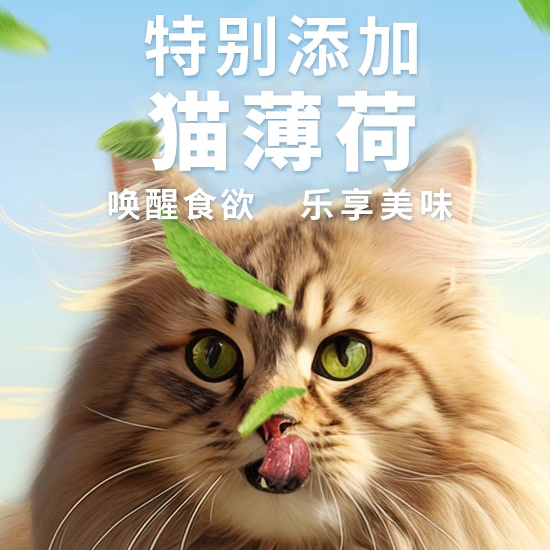 【天猫U先】小李子猫罐头主食罐猫咪零食罐蔓越莓味200g - 图1