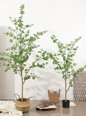极速仿真植c物马醉木大型吊钟树景观办公室客厅落地装饰绿植盆栽
