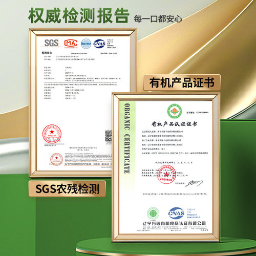 东北有机绿豆新货国标一级750g豆子绿豆汤水糕可发芽五谷杂粮粥 - 图3