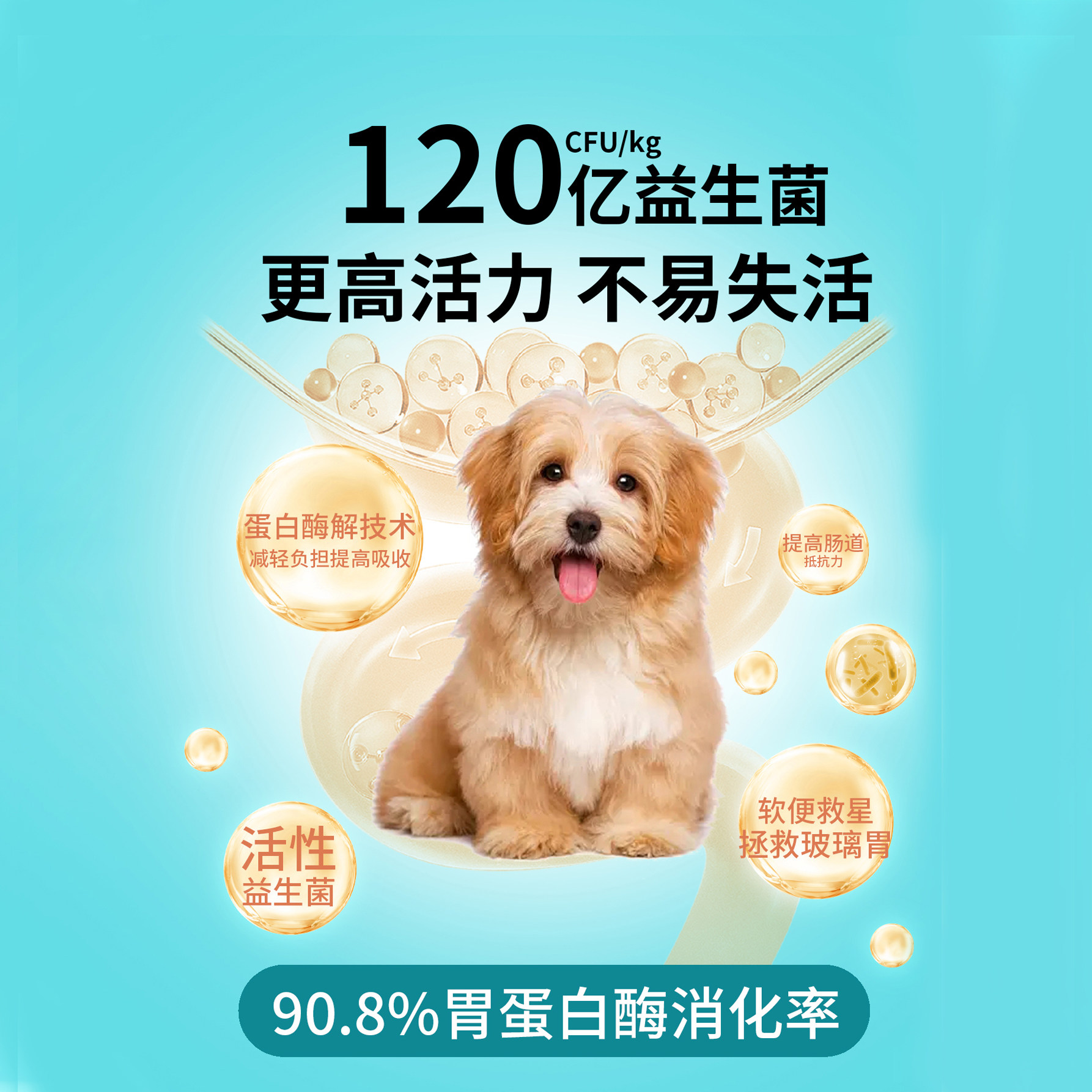 质宠C35全价低温烘焙狗粮85%真鲜肉低敏无谷35%蛋白成犬幼犬粮,淘宝优惠券,粉丝福利购,淘宝优惠卷