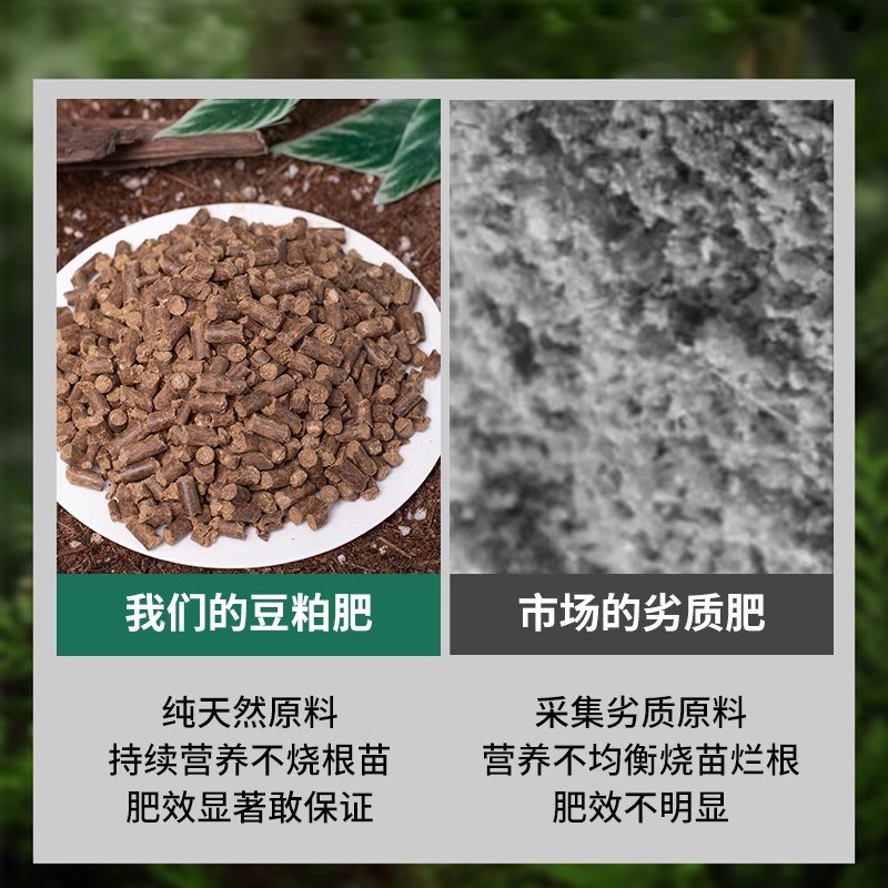 速发豆粕有机饼花肥料颗粒发酵豆肥肥腐熟芝麻饼肥有机卉肥花菌肥 - 图1