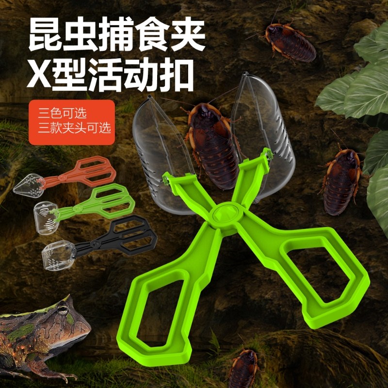 nomoypet诺摩捕虫夹爬虫蜘蛛面包虫杜比亚蟋蟀蟑螂透明夹子工具,淘宝优惠券,粉丝福利购,淘宝优惠卷