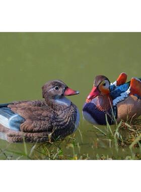 户外水池塘花园假山装饰婚庆道具仿真动物鸳鸯树脂摆件工艺品结婚
