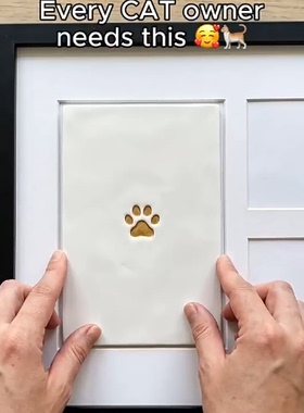 宠物爪印相框纪念品猫咪爪印diy