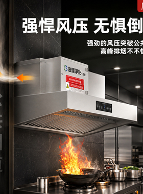 商用油烟机净化一体机无管道
