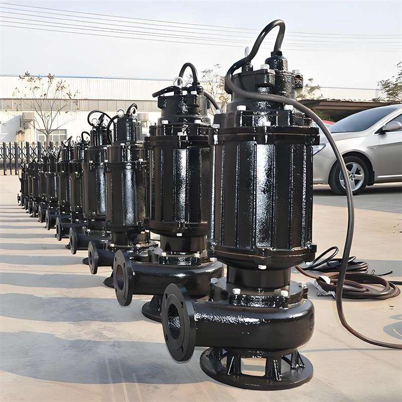 wqb潜污水电泵WQB市政排污泵多种规格型号满足不同需求 - 图2