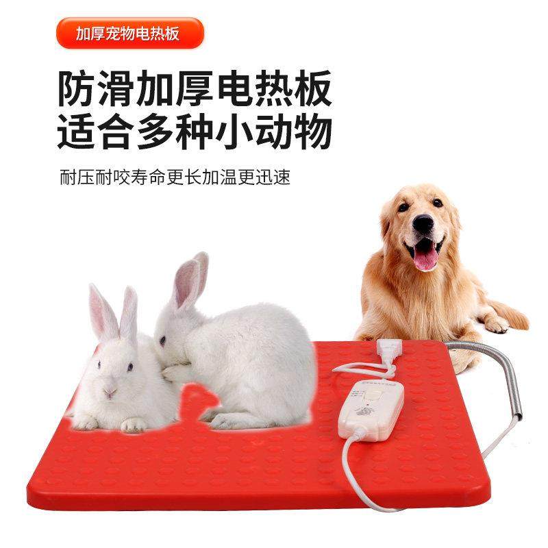 宠物保温板仔猪加热板狗用电热板蛇猫加热毯小型动物取暖设备兽用,淘宝优惠券,粉丝福利购,淘宝优惠卷