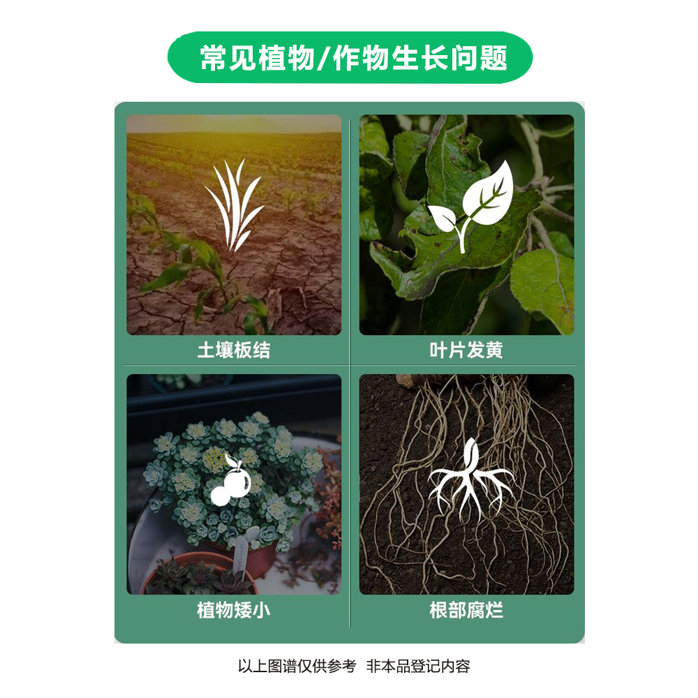 微生物菌剂哈茨木霉菌枯草芽孢杆菌地衣芽孢杆菌抗重茬菌肥苗郎中 - 图2