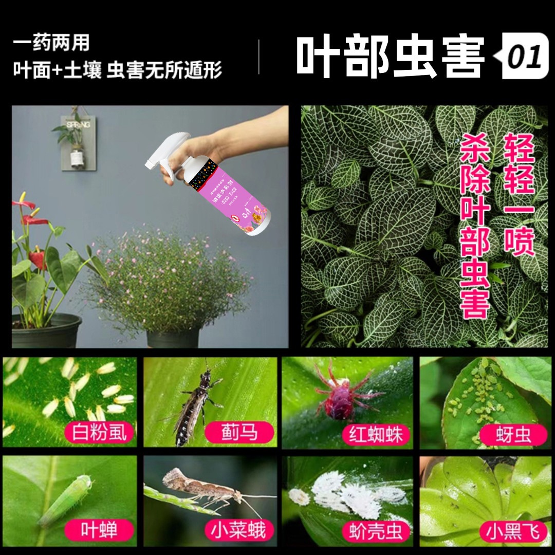 厂家直销消虫水乳剂花卉植物花草蚜虫月季花病虫害室内 - 图0