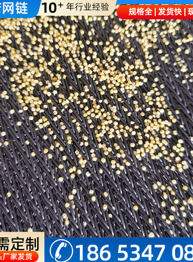 不锈钢加密人字形网带小颗粒绿豆大米输送带芝麻输送机金属输送带