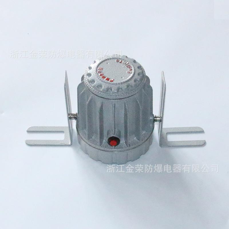 金荣BAK85防爆LED视孔灯BAK51反应釜视镜灯BSD96延时24V36V内视灯 - 图2