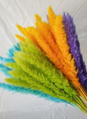 新品粉色小芦苇干k花花束蒲苇diy永生花材插花瓶装饰潘帕斯草婚庆