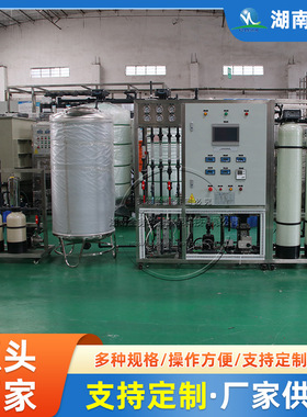 工业净水器商用反渗透纯净水去离子水制水机械EDI制超纯水设备