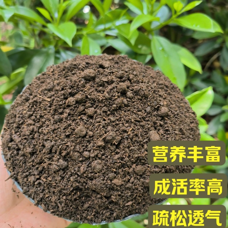 营养土家用养花种菜专用土多肉盆栽通用型种植土园艺土壤花土肥料 - 图1