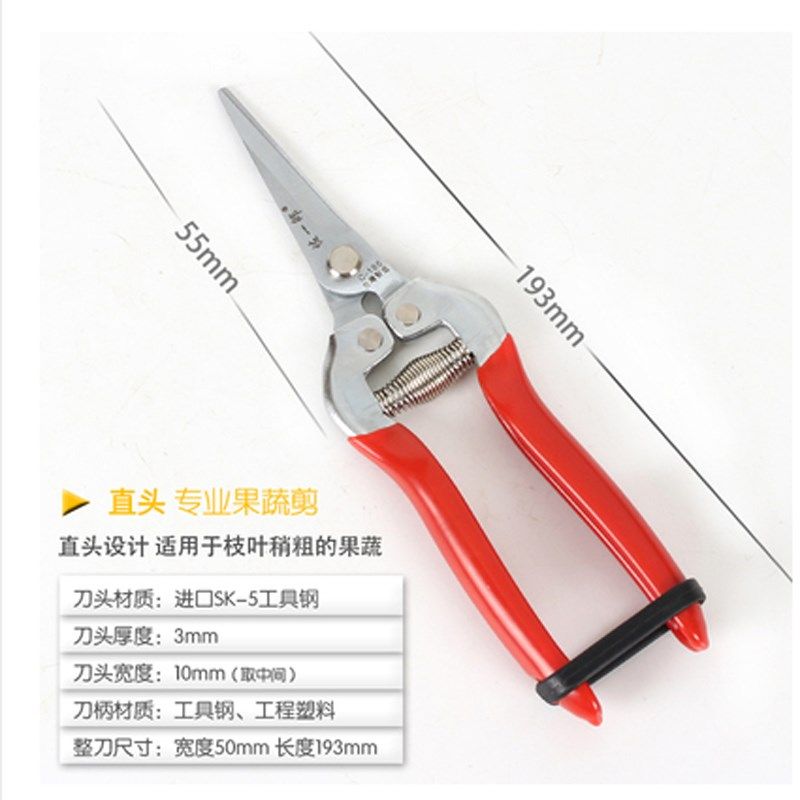台湾佐一郎8167长头摘果剪刀稀果剪葡萄剪橘子果树采果剪家用修枝,淘宝优惠券,粉丝福利购,淘宝优惠卷