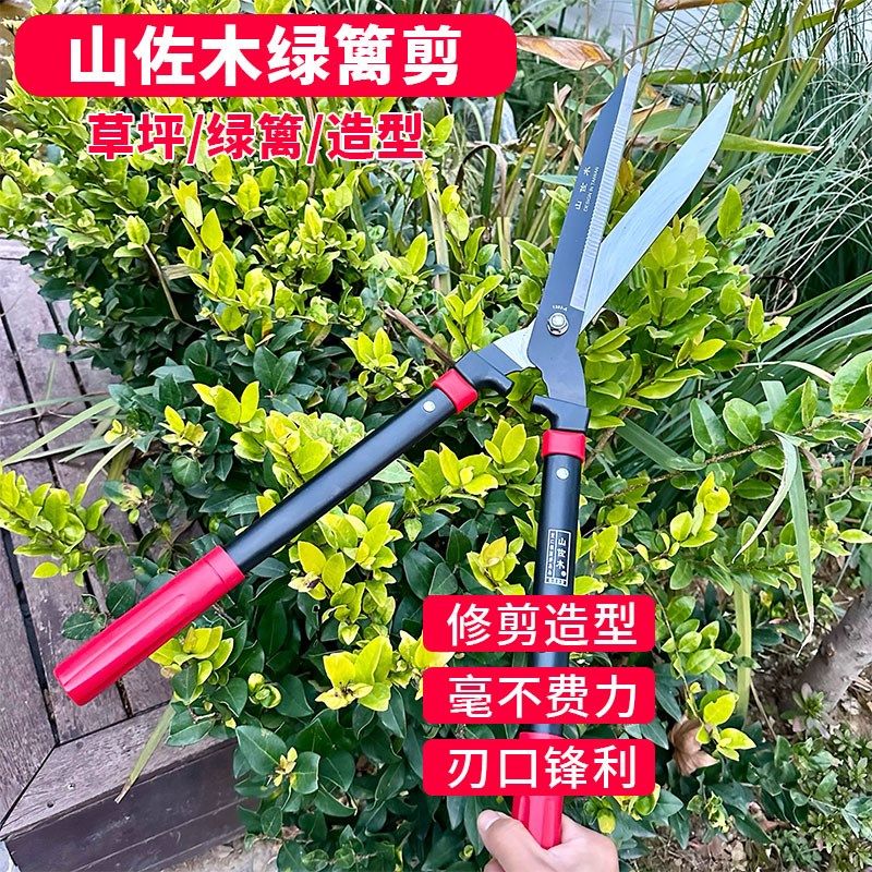 山佐木10寸绿篱剪修枝苗整枝花剪园艺大剪刀锋利铁手柄防止打滑,淘宝优惠券,粉丝福利购,淘宝优惠卷