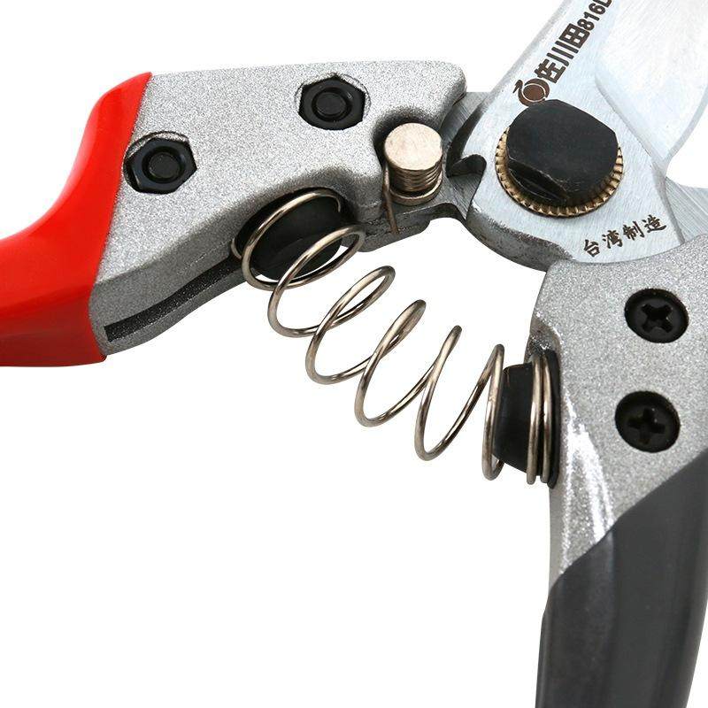 修枝剪园林园艺剪刀果树省力日本花枝进口枝树枝粗家用台湾佐川田,淘宝优惠券,粉丝福利购,淘宝优惠卷