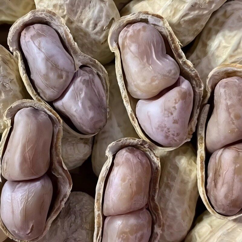 New Longyan specialty boiled, sun-dried and salted peanuts