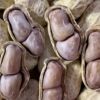 New Longyan specialty boiled, sun-dried and salted peanuts