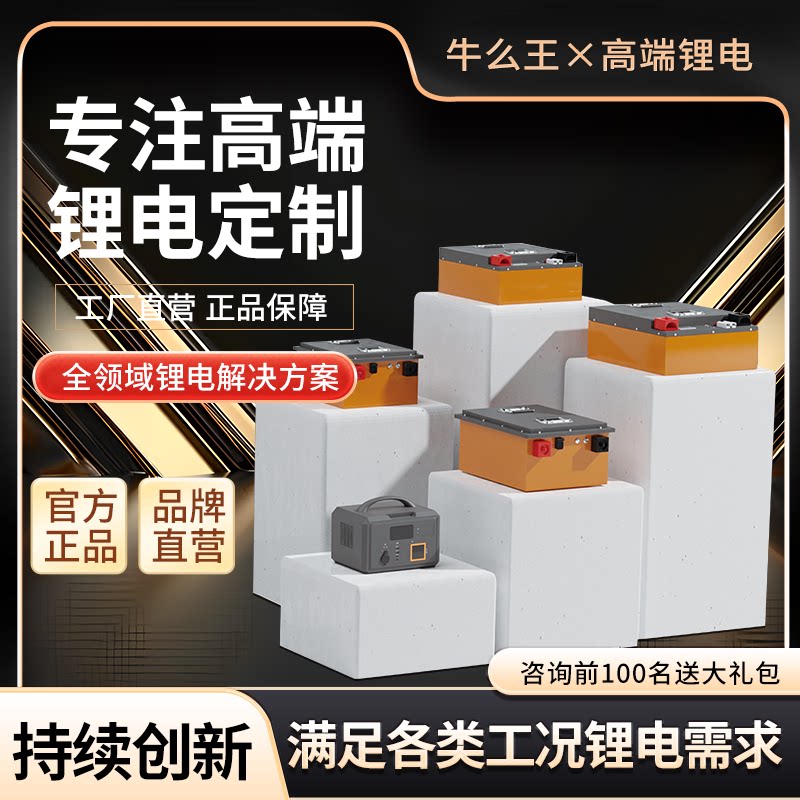 牛么王锂电池适用于九号电动车热门车型FX/MX/DZ系无损直上锂电池