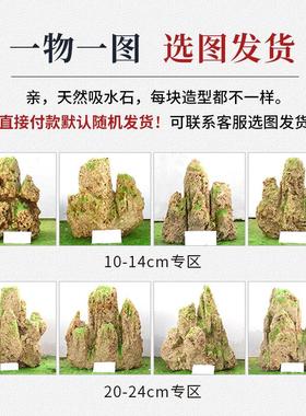 吸水石盆景上水石假山室内摆件鱼缸造景家居装饰水秀奇石小摆件