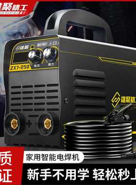 电焊机家用220v小型新款250微型便携式迷你直流纯铜315两相电焊机