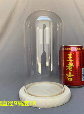 极速永生花玻璃罩展示盒 diy模型装饰桌面摆P件干燥花透明防尘罩