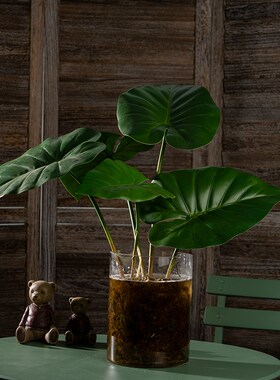 新品仿真植物绿色树叶假蕨类绿z萝龟背大叶子室内绿植背景墙造景
