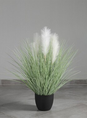 新品【芈阳】仿真蒲苇草大u型盆景 芦苇蒲草水烛装饰摆件绿植橱窗