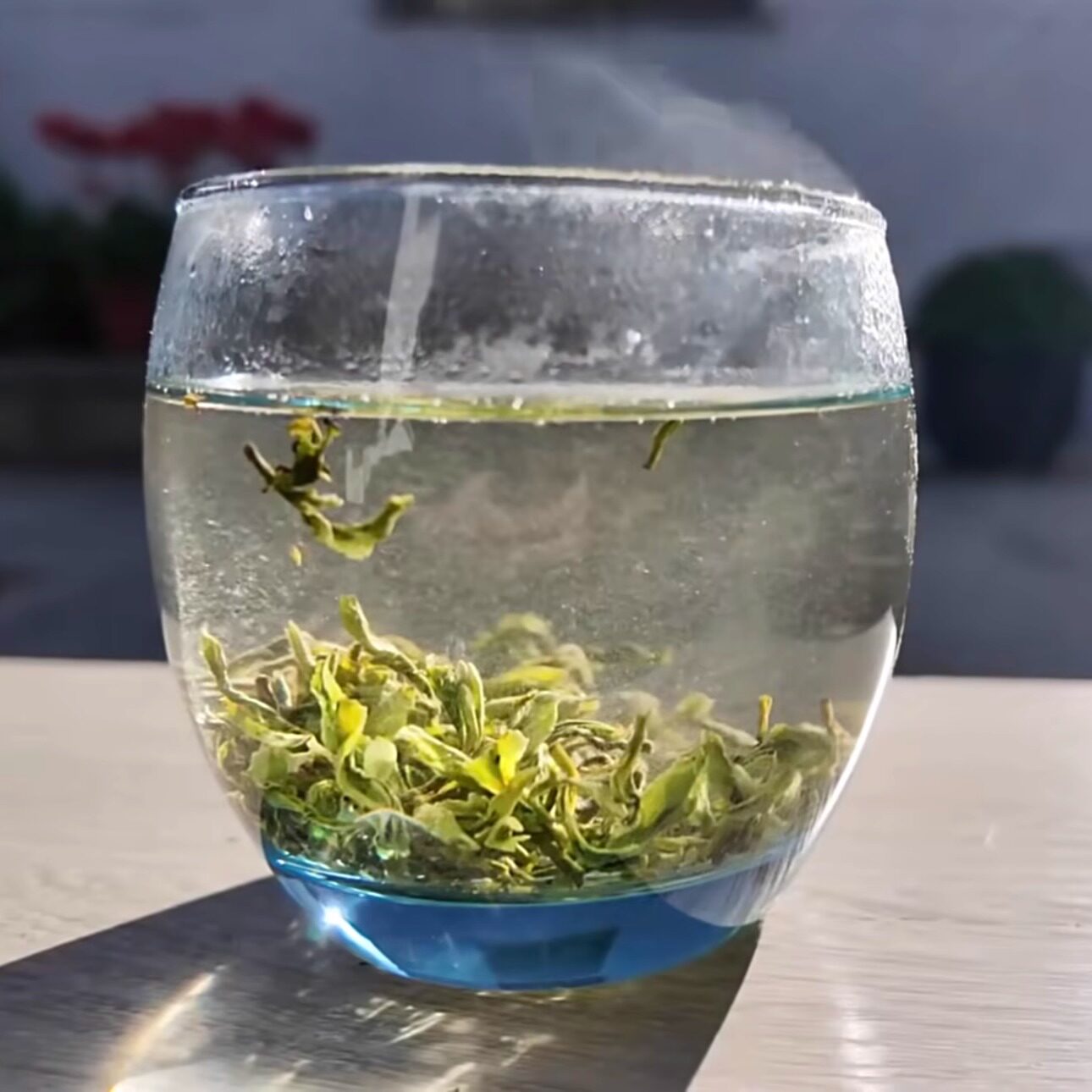 【2026新茶预约】苏州西山明前群体小叶种碧螺春茶叶！,淘宝优惠券,粉丝福利购,淘宝优惠卷