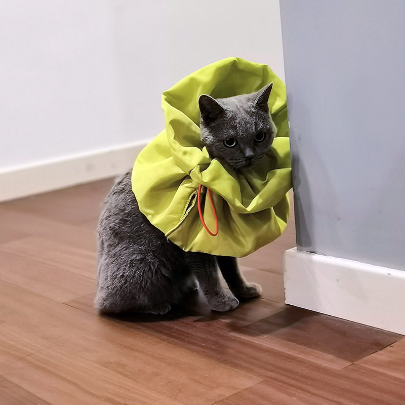 宠物保暖围脖防水围巾猫咪绝育术后防舔咬伊丽莎白圈宠物用品正品,淘宝优惠券,粉丝福利购,淘宝优惠卷