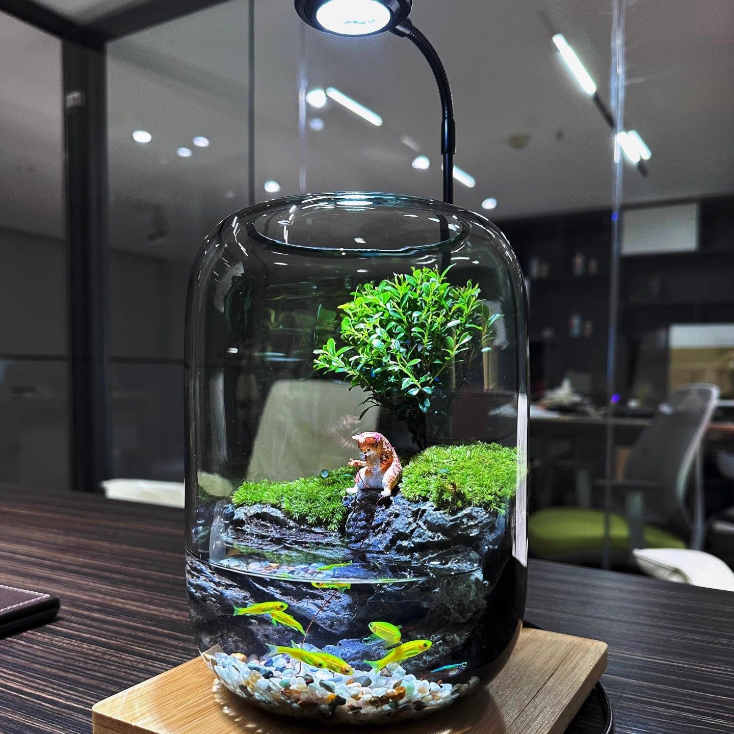 创意圆形玻璃花瓶加厚鱼缸生态瓶微景小型小鱼缸桌面装饰水培摆件,淘宝优惠券,粉丝福利购,淘宝优惠卷