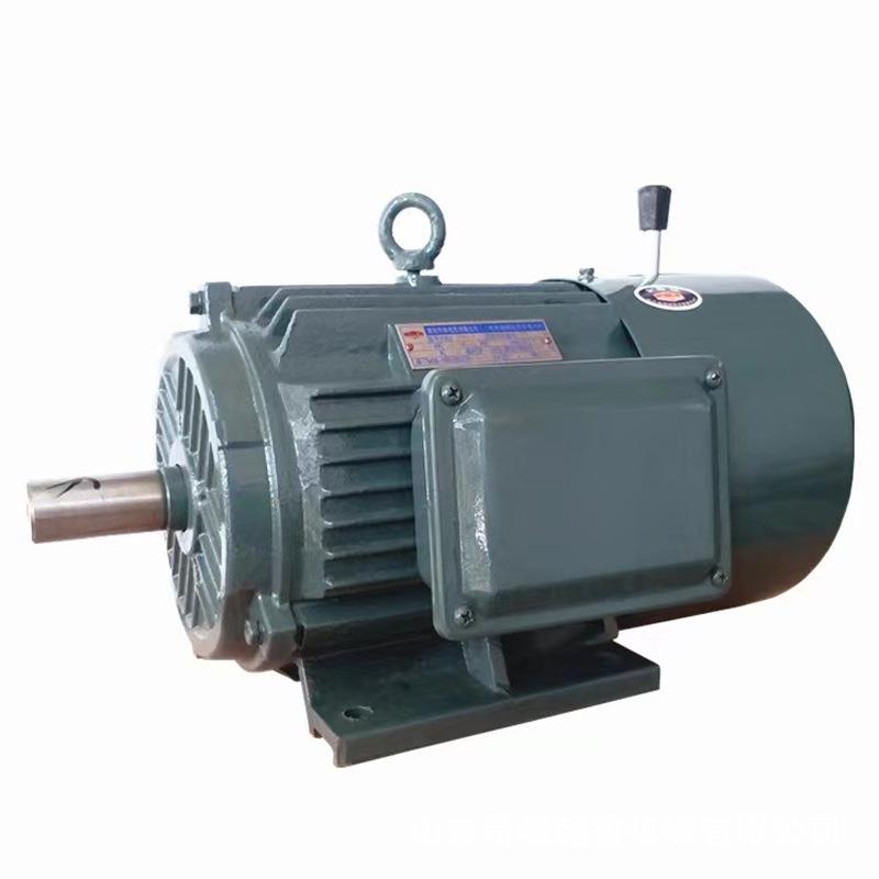 实心转子制动电机YSE100L2-4/.0KW电机厂起重机配件软启动电机 - 图1