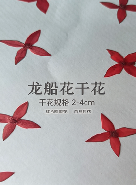 龙船花押花滴胶手机壳材料
