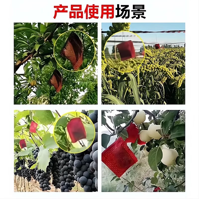 图4
