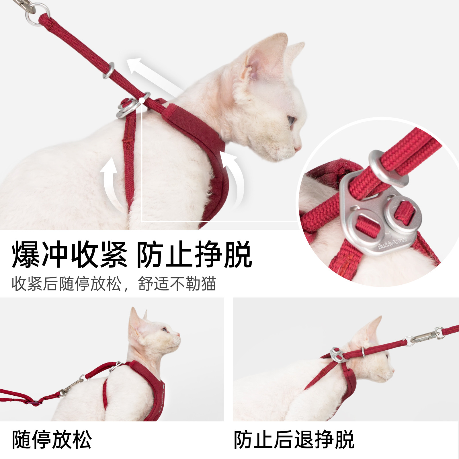 BuddyArmor防挣脱超舒适Y型胸背套装外出遛猫绳手牵腰牵斜挎,淘宝优惠券,粉丝福利购,淘宝优惠卷