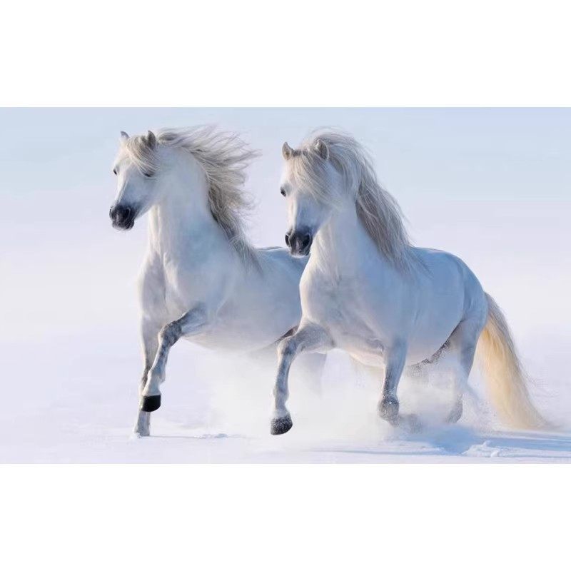 蒙古风格元素图案壁纸蒙古马系列装饰画客厅卧室手绘油画定制墙纸,淘宝优惠券,粉丝福利购,淘宝优惠卷