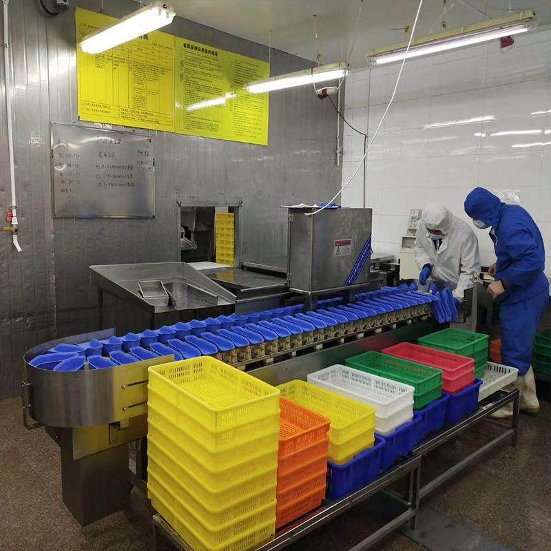 黄花鱼鲳鱼重量分拣机土豆洋葱分拣秤料盒式海产品自动分选机,淘宝优惠券,粉丝福利购,淘宝优惠卷