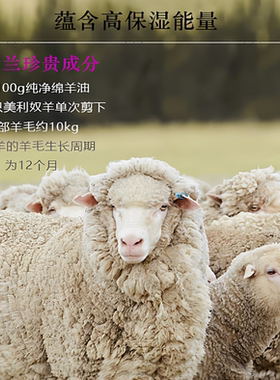 【官旗】alpine silk新西兰有机绵羊油晚霜100g 紧致保湿淡纹修护
