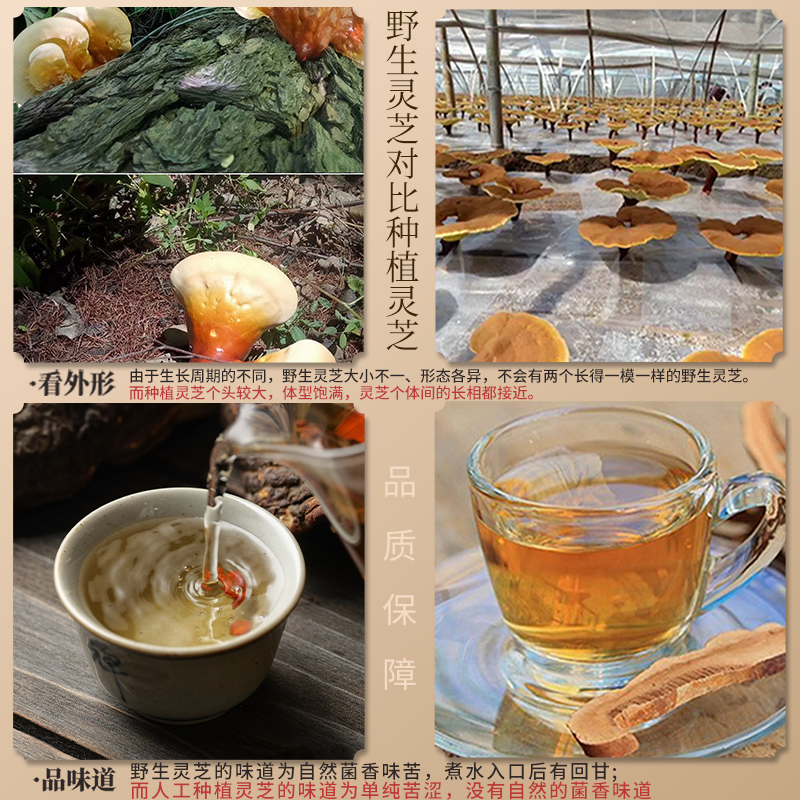 灵芝500g一斤装正品长白山紫灵芝野生灵芝片赤林芝茶可切片打粉