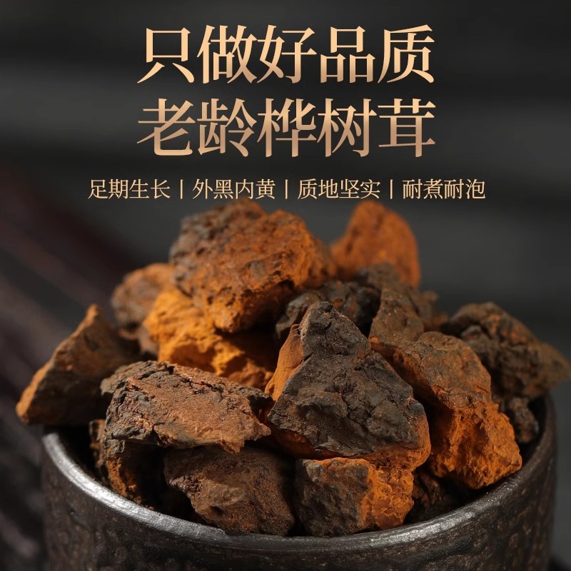 桦树茸俄罗斯进口旗舰店野生正品白桦树茸长白山华树茸颗粒的功效