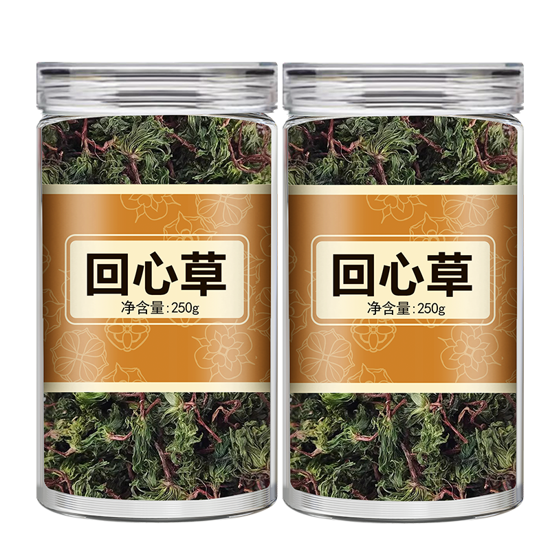 回心草中药材正品云南茴芯草大叶藓铁脚一把伞非野生茴薪草泡水喝