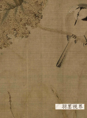 宋人小品鹡鸰荷叶图古代书画花