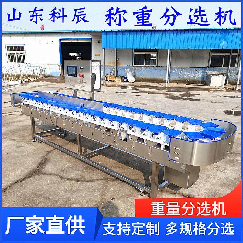 牡蛎输送线输送式重量分选机 海蛎子重量分选机 生蚝称重分选机,淘宝优惠券,粉丝福利购,淘宝优惠卷