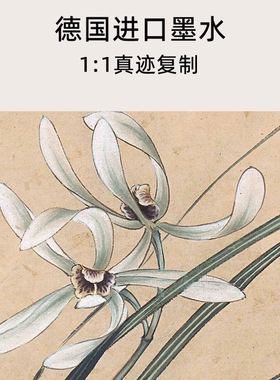 近现代张大千兰花国画植物花卉画