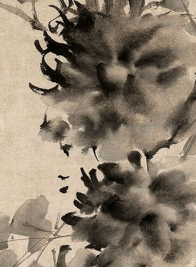 徐渭水墨牡丹图国画名画高清复