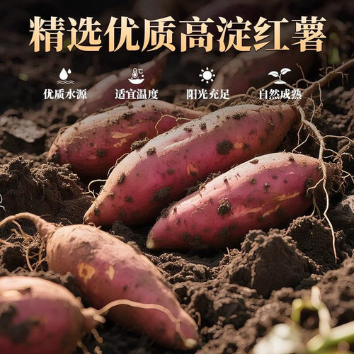 正宗红薯粉条纯手工无添加河南特产农家自制红薯小粉皮官方旗舰店 - 图0