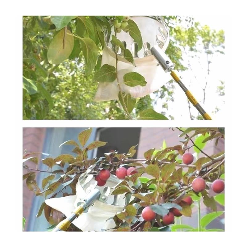 摘水果神器伸缩杆摘枣柿子桃梨长杆摘果神器高空采摘工具钩勾 - 图3